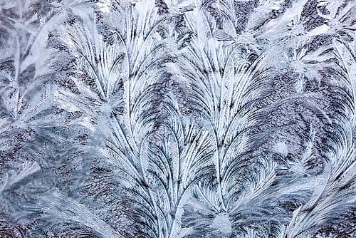 USA- Washington State- Sammamish. Frost on auto window Nature Print